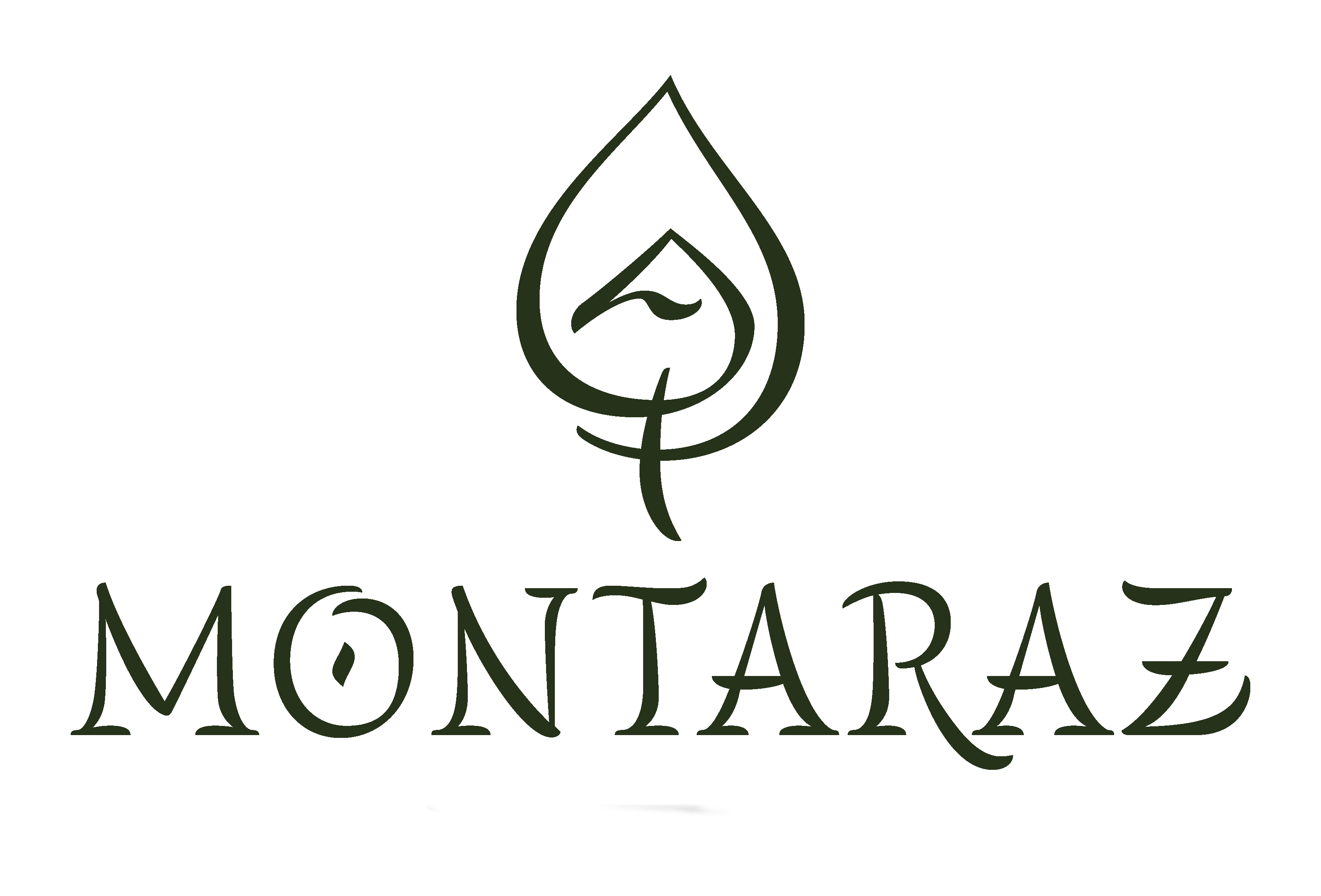 Logo Montaraz